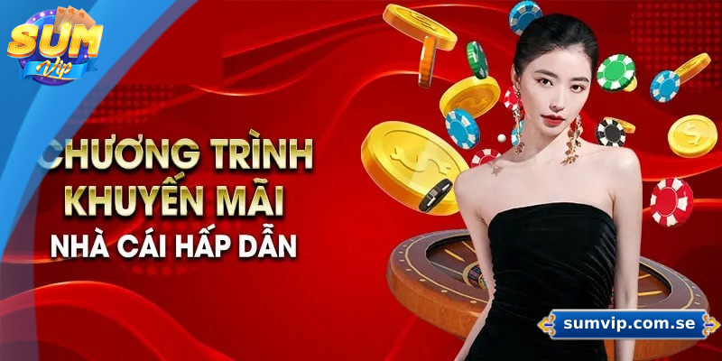 Cập nhật các khuyến mãi mới nhất để không bỏ lỡ