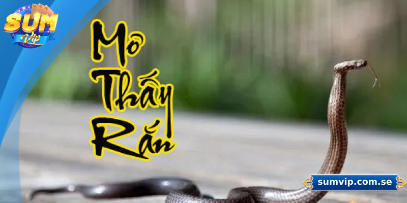 Giải mã giấc mơ giết rắn