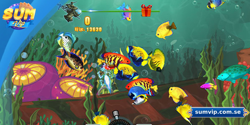 Hướng dẫn cách tham gia bắn cá Sumvip